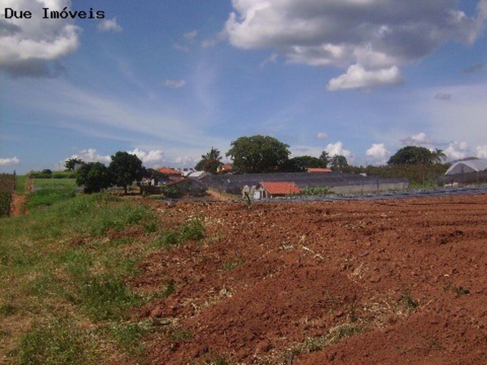 Terreno, 4 hectares - Foto 5