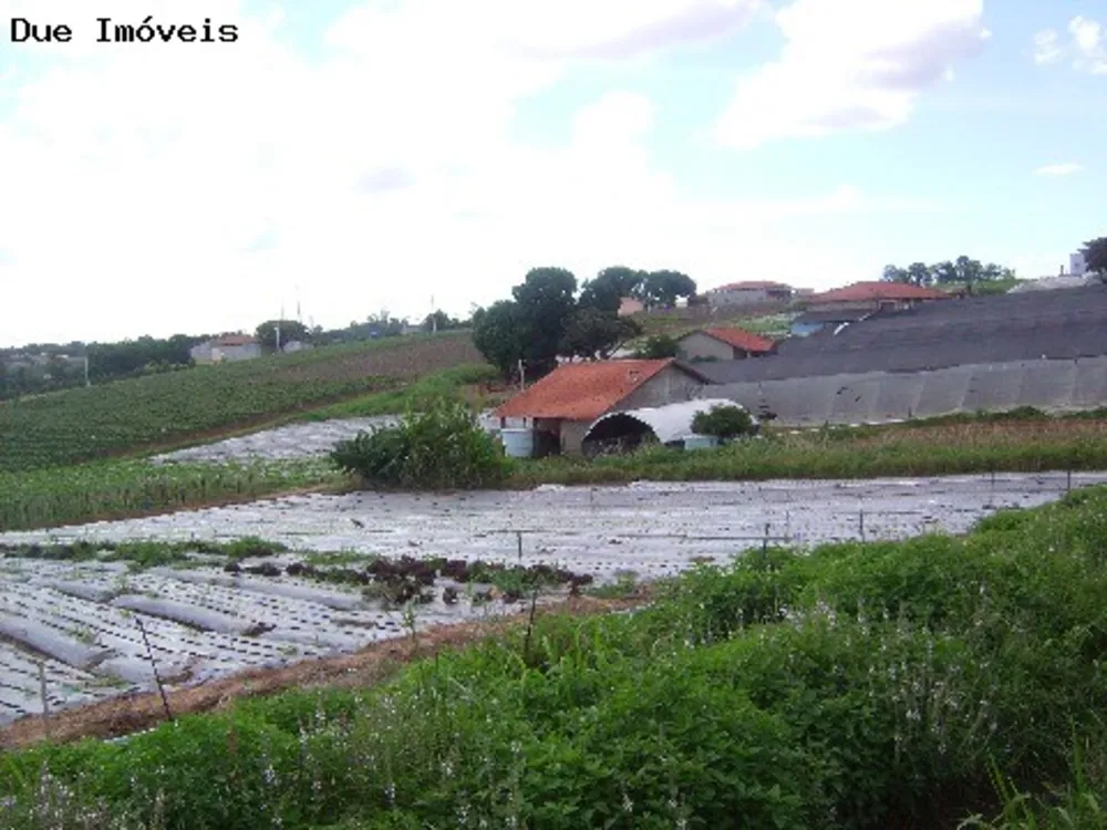 Terreno, 4 hectares - Foto 2