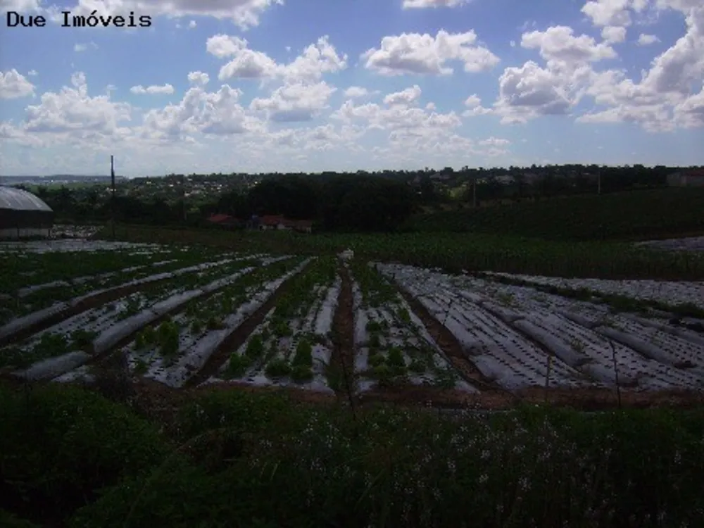 Terreno, 4 hectares - Foto 6