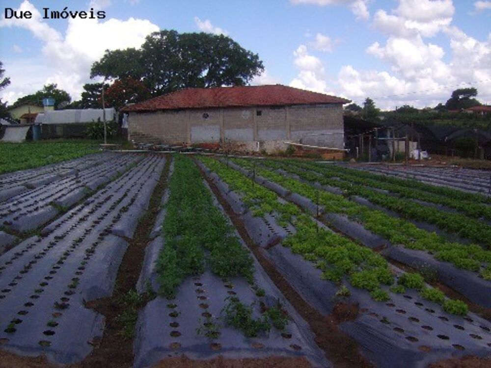 Terreno, 4 hectares - Foto 6