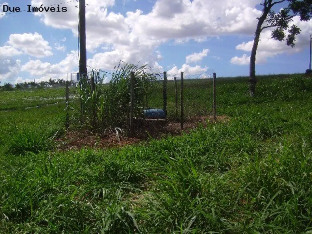 Terreno, 4 hectares - Foto 7