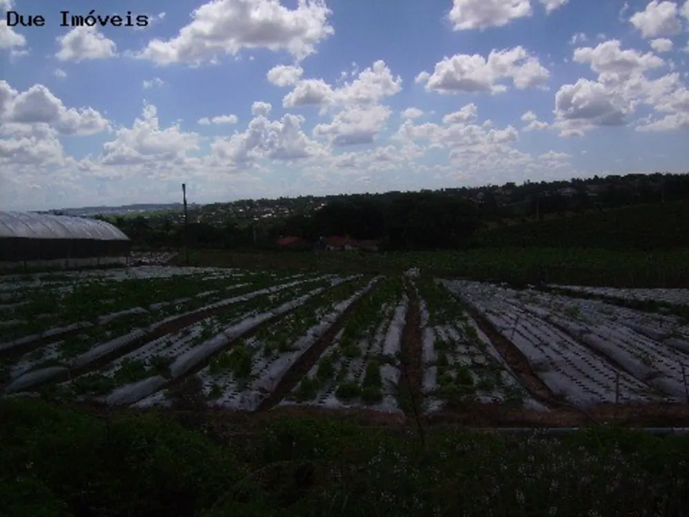 Terreno, 4 hectares - Foto 1