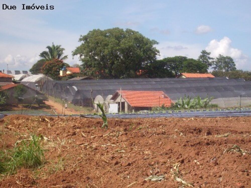 Terreno, 4 hectares - Foto 8