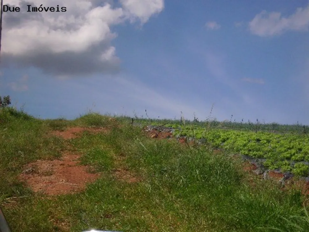 Terreno, 4 hectares - Foto 9