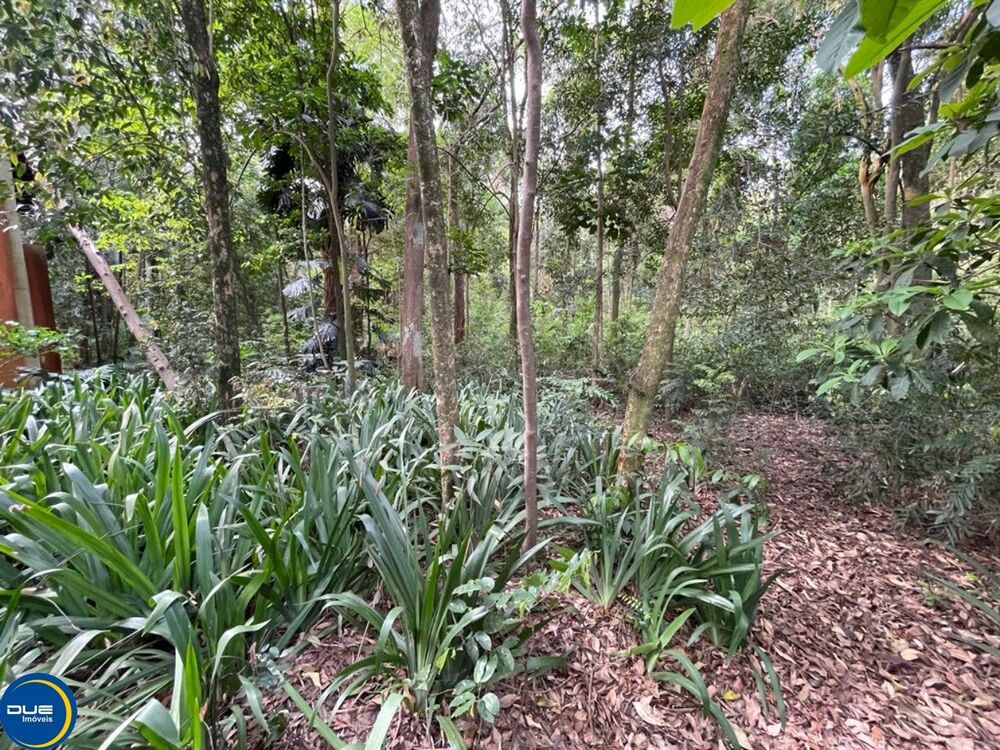 Terreno, 331 m² - Foto 3