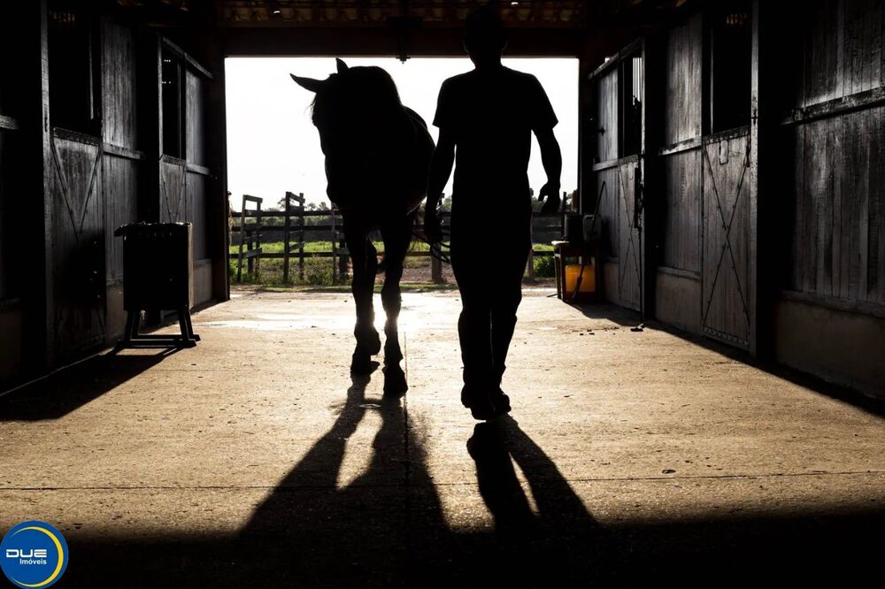 Terreno, 2650 m² - Foto 3