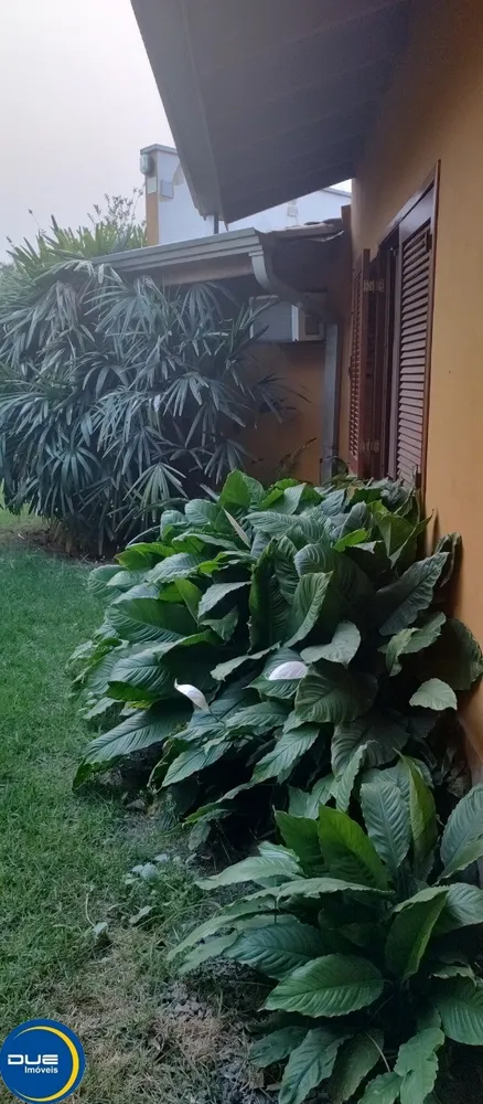 Chácara, 3 quartos, 1000 m² - Foto 6