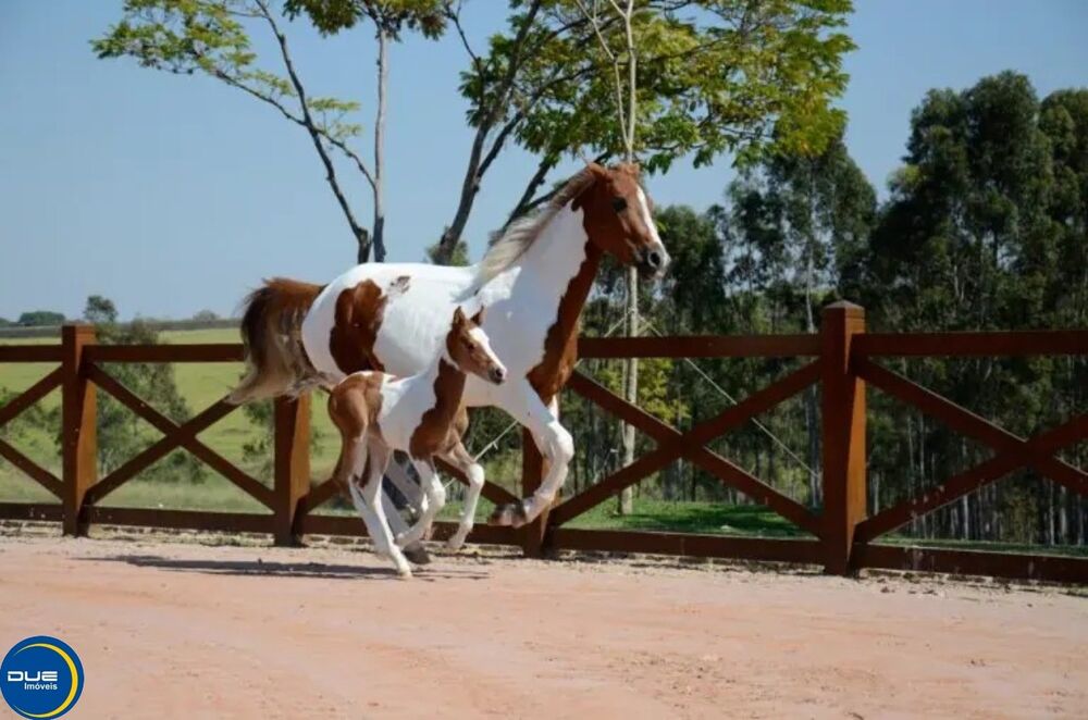 Terreno, 2185 m² - Foto 3