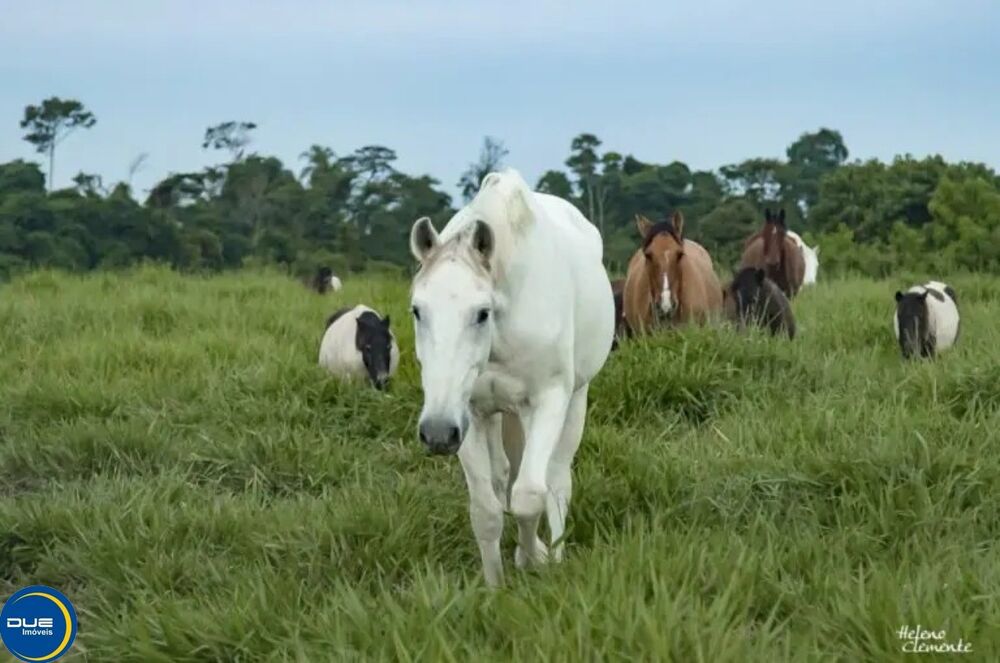 Terreno, 2075 m² - Foto 4