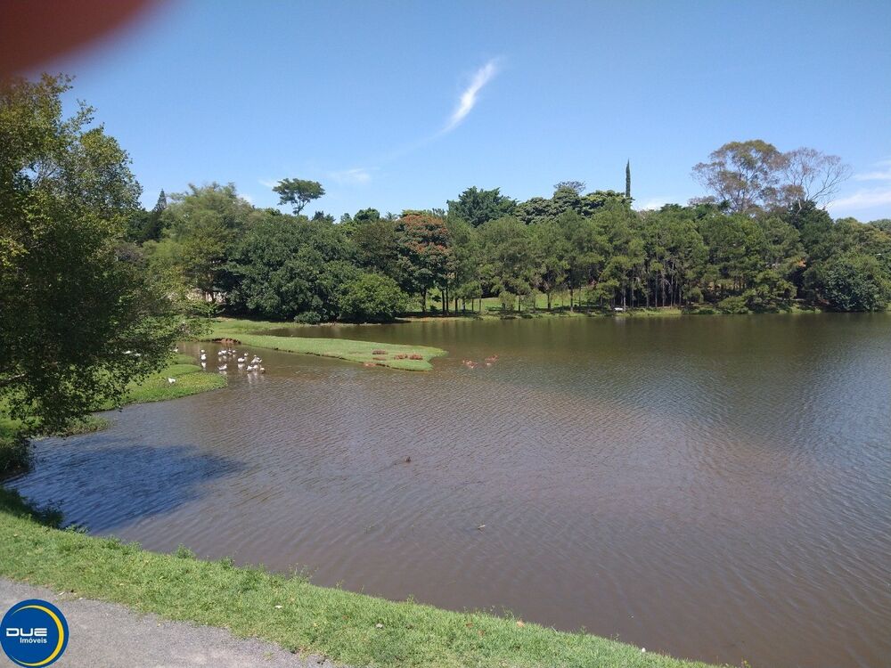 Chácara, 4 quartos - Foto 3