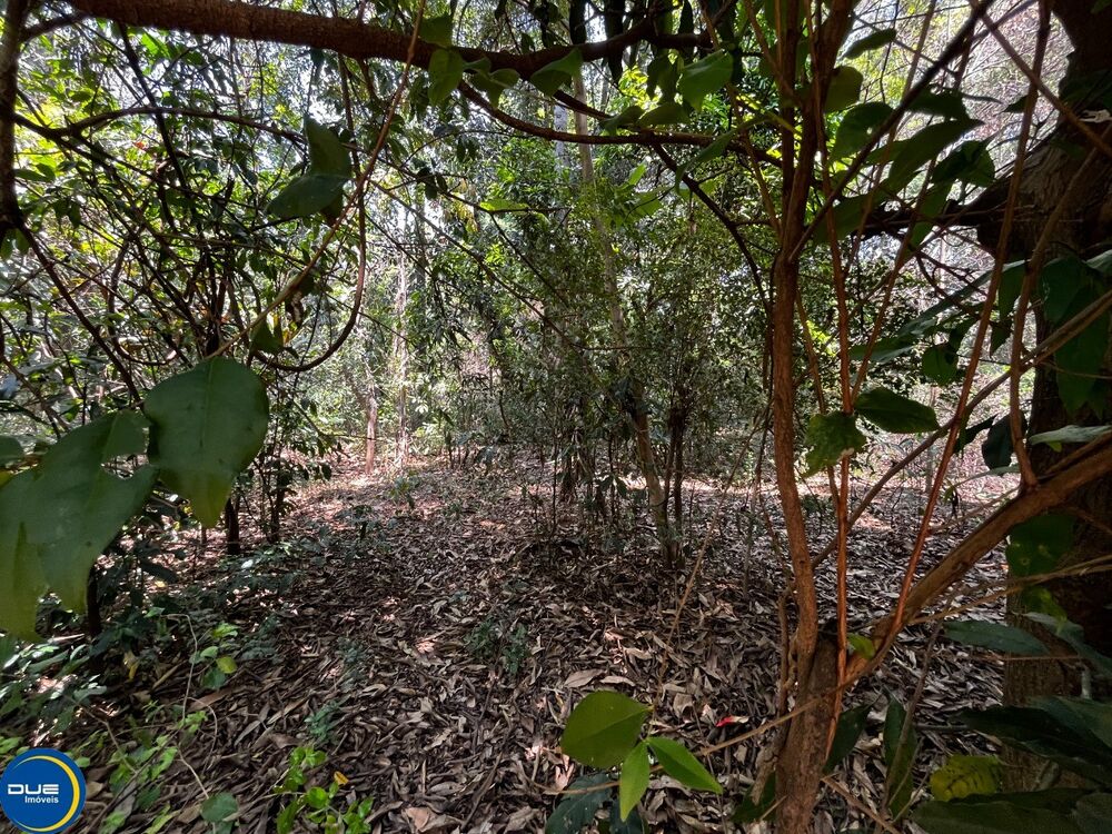 Chácara, 3 quartos, 700 m² - Foto 2