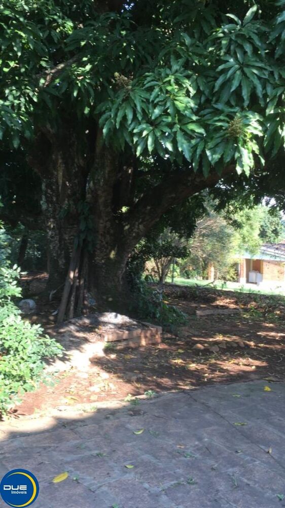 Chácara, 3 quartos, 4880 m² - Foto 1