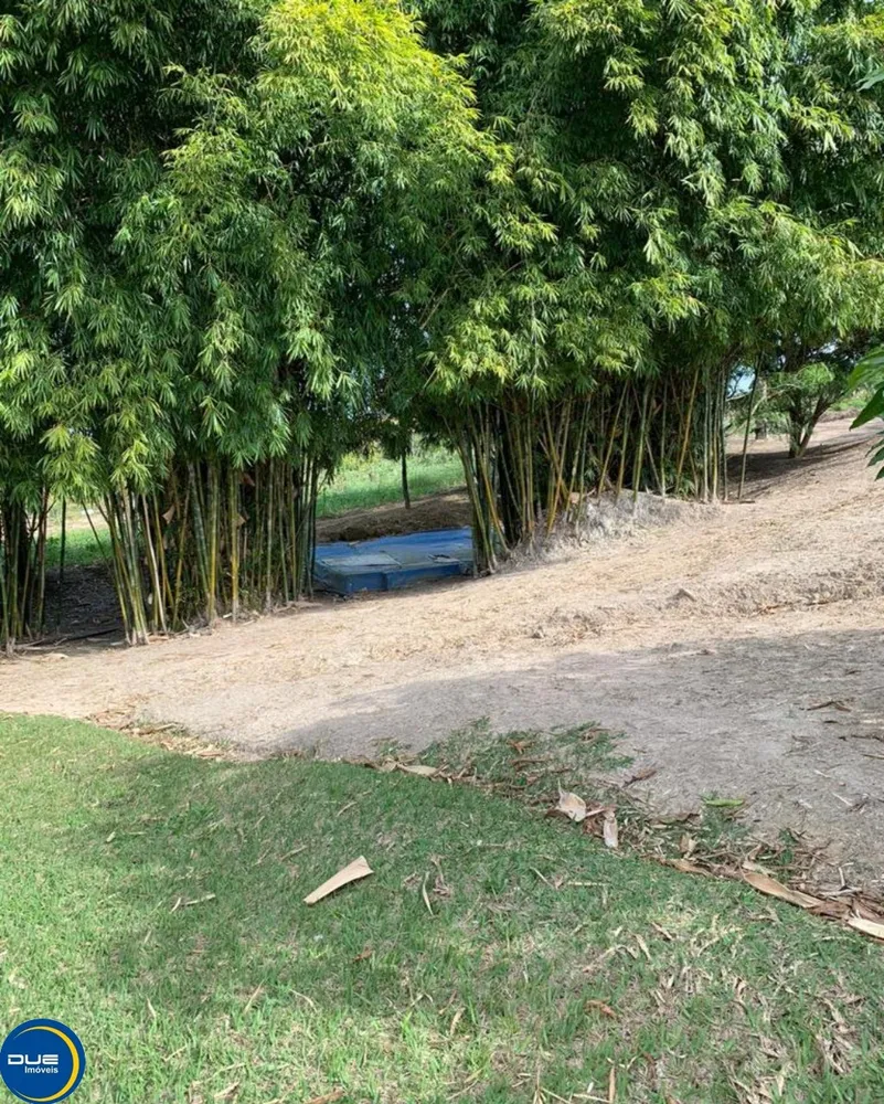 Sítio, 4 quartos, 4 hectares - Foto 4