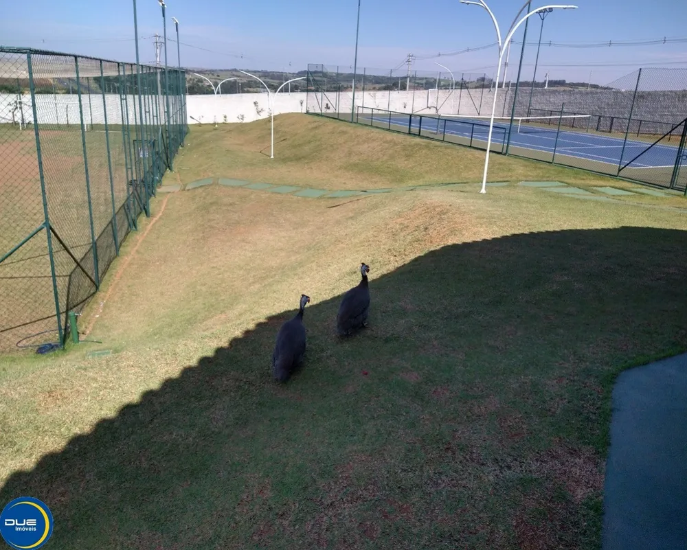 Terreno, 300 m² - Foto 5