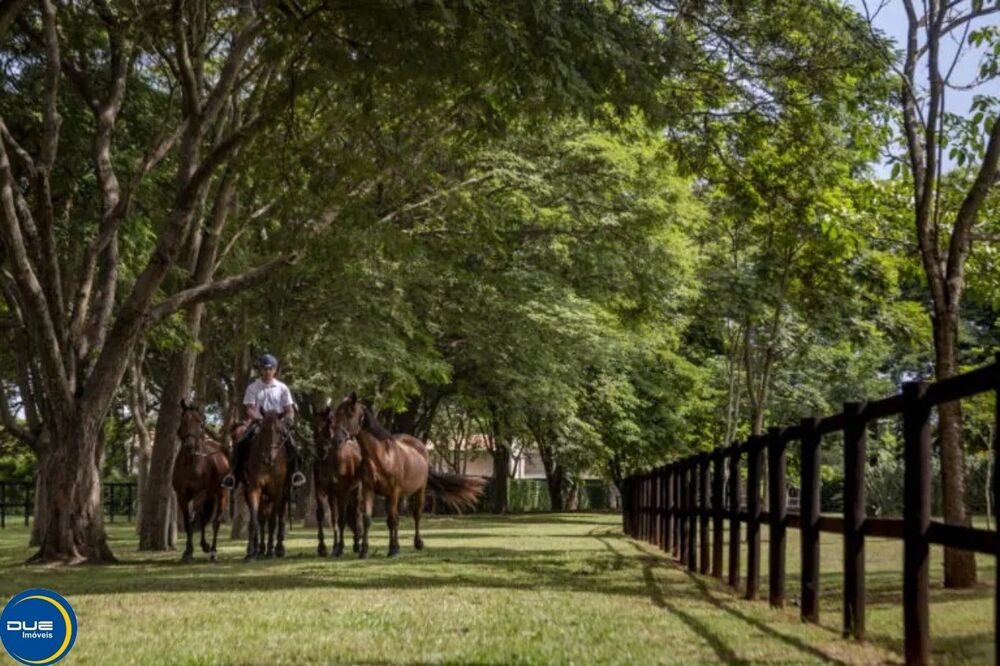 Terreno, 3417 m² - Foto 3