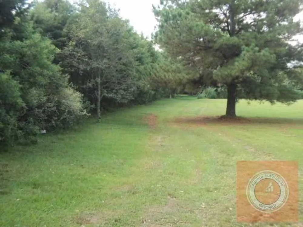 Terreno, 4 hectares - Foto 3