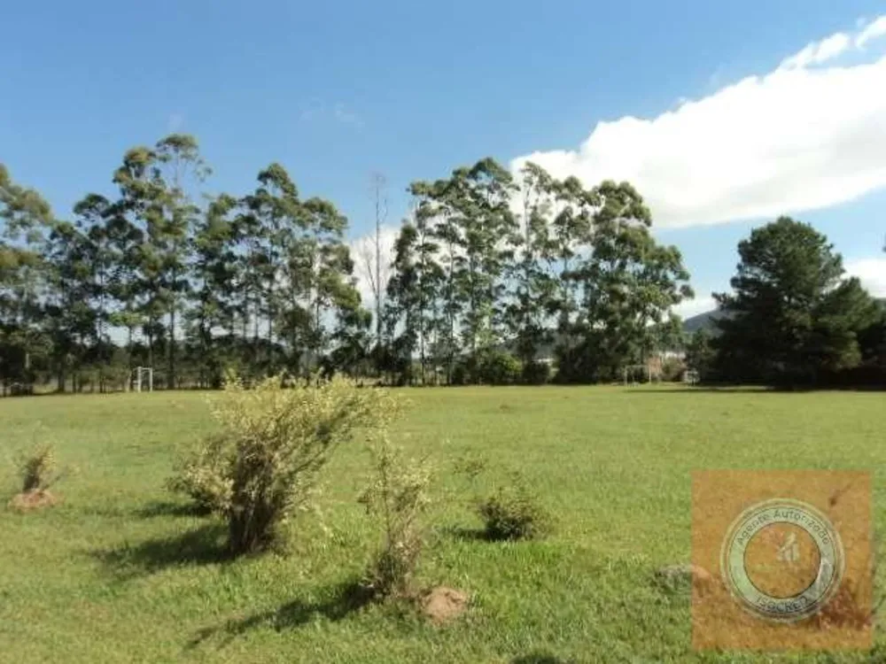 Terreno, 4 hectares - Foto 12
