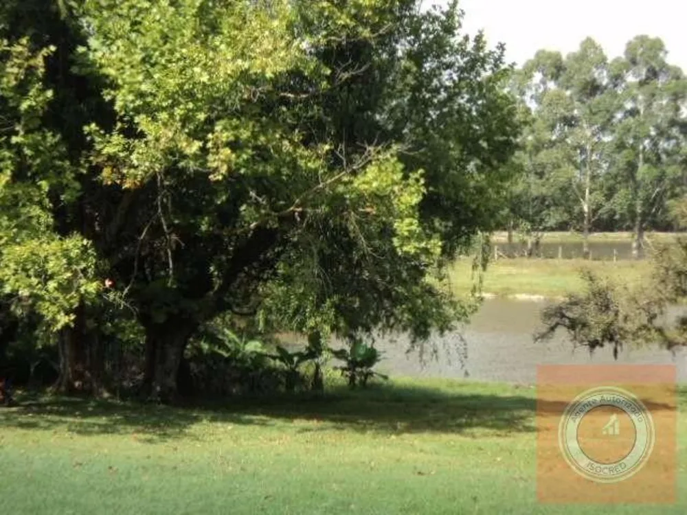 Terreno, 4 hectares - Foto 4