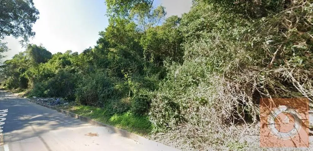 Terreno, 5000 m² - Foto 3