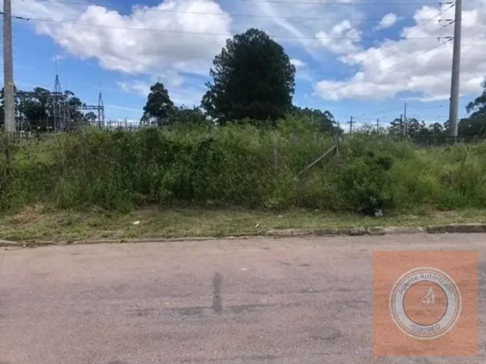 Terreno, 1549 m² - Foto 5