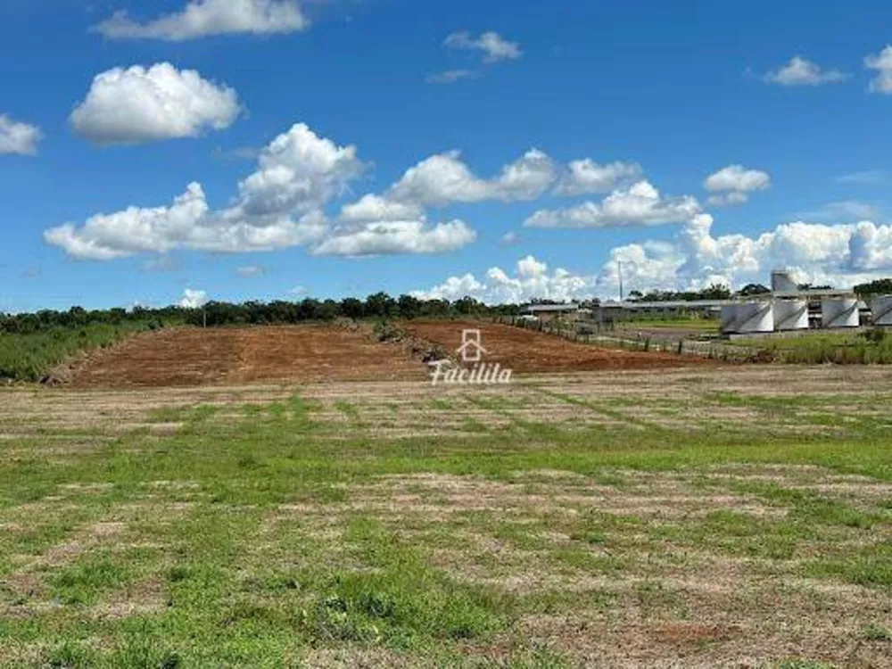 Terreno, 3 hectares - Foto 1