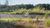 Terreno, 360 m² - Foto 2