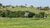 Terreno, 2 hectares - Foto 3