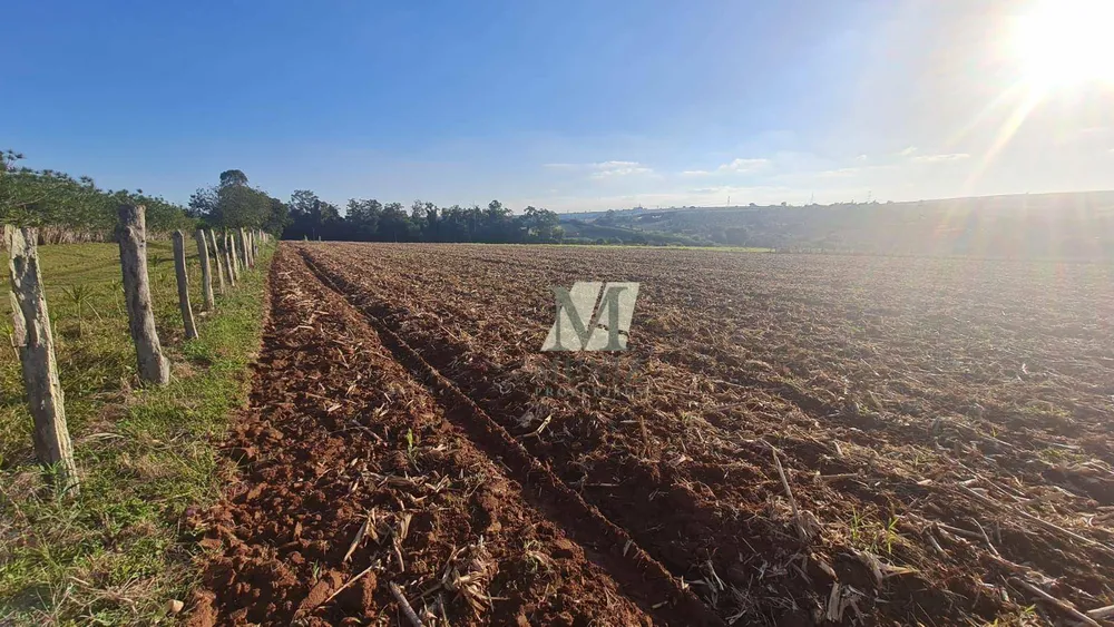 Terreno, 12 hectares - Foto 3