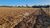 Terreno, 12 hectares - Foto 4