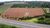 Terreno, 12 hectares - Foto 2