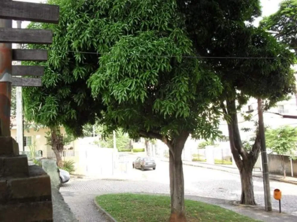 Casa, 3 quartos, 190 m² - Foto 4