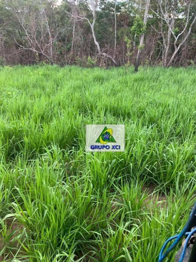 Fazenda, 911 hectares - Foto 2