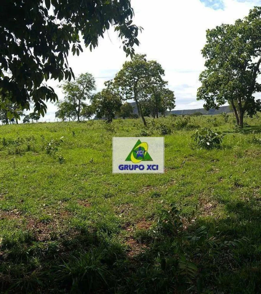 Fazenda, 911 hectares - Foto 8