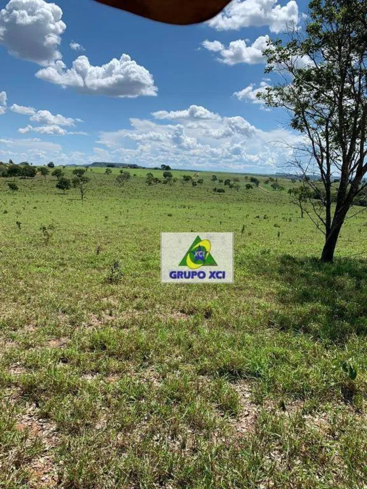 Fazenda, 911 hectares - Foto 7