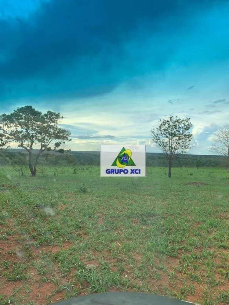 Fazenda, 911 hectares - Foto 6