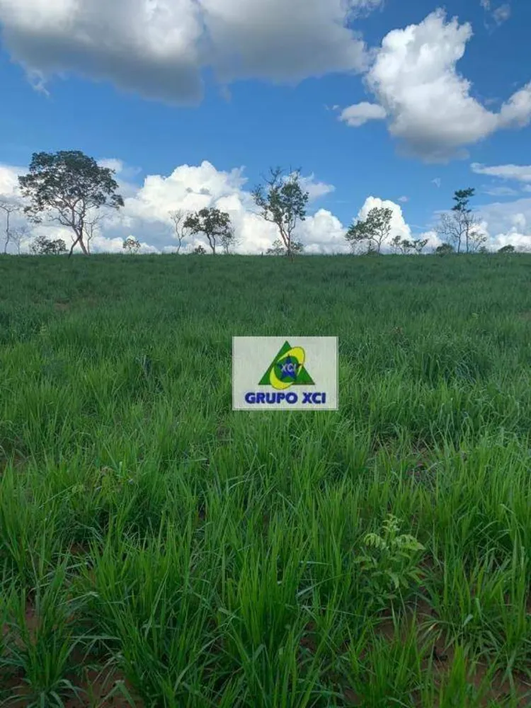 Fazenda, 911 hectares - Foto 4