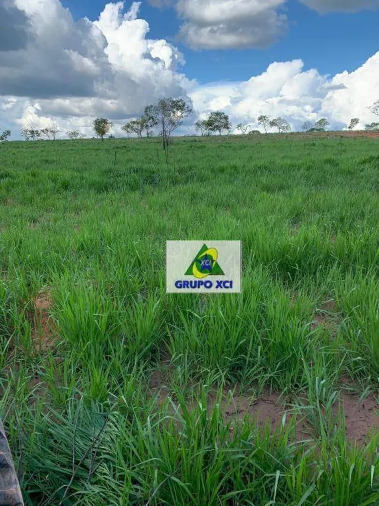 Fazenda, 911 hectares - Foto 1