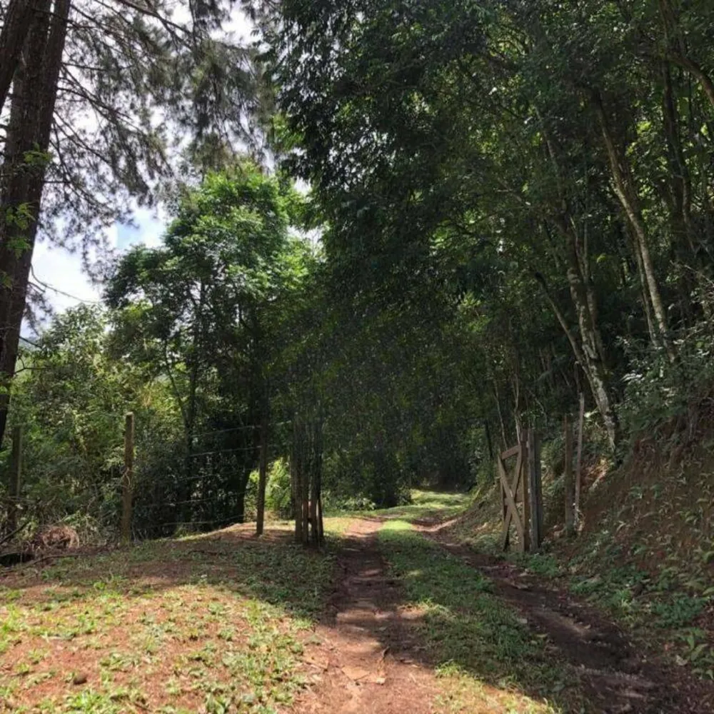 Chácara, 3 quartos, 3 hectares - Foto 6