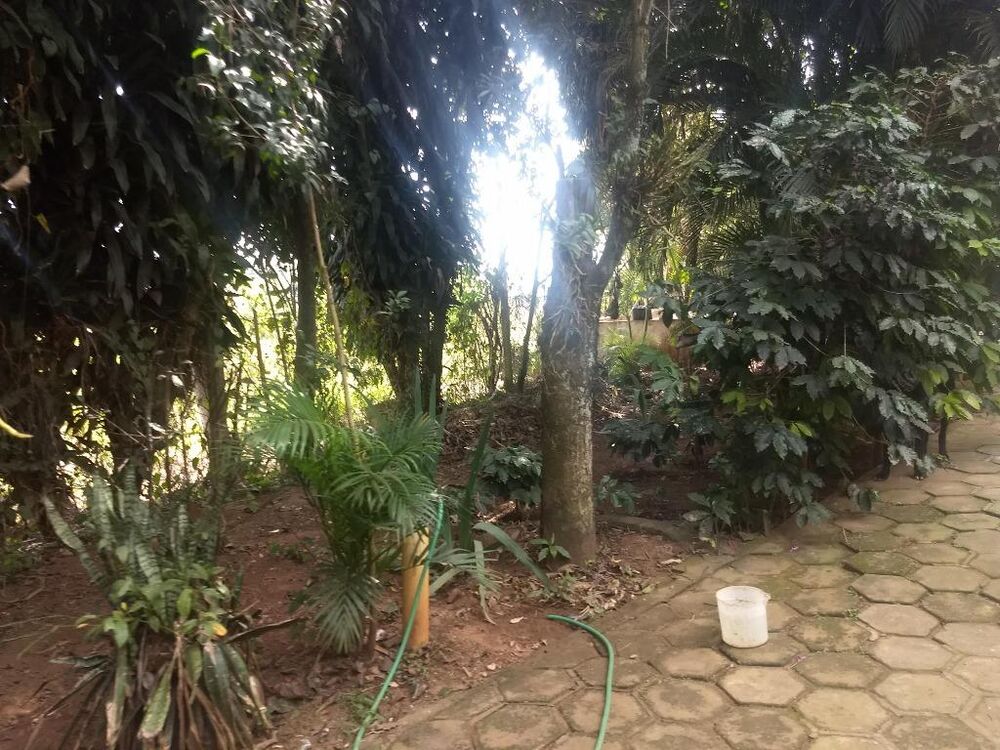 Sítio à venda com 3 quartos, 121000M2 - Foto 18