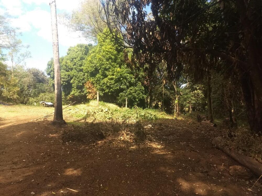 Sítio à venda com 3 quartos, 121000M2 - Foto 14