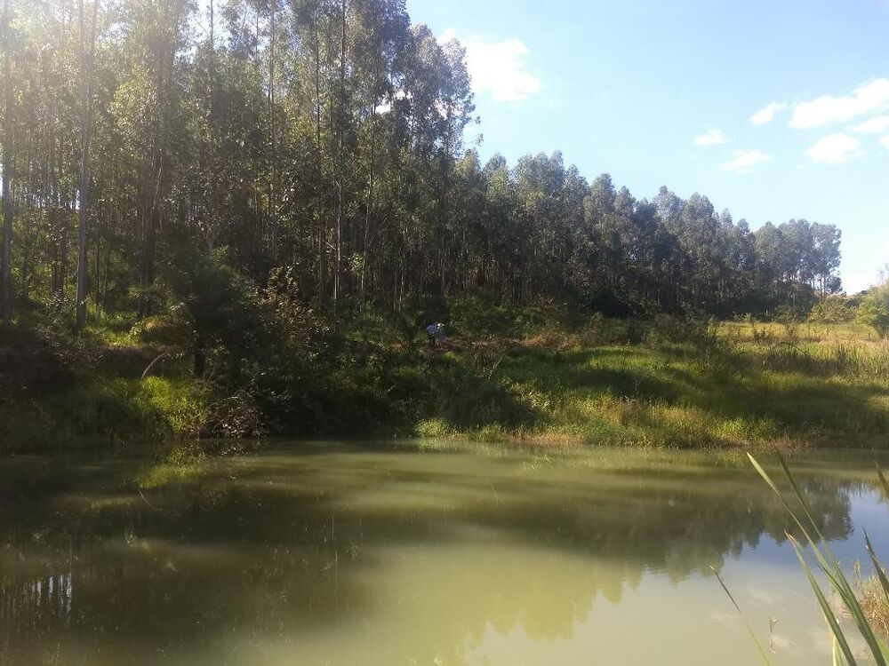Sítio à venda com 3 quartos, 121000M2 - Foto 40