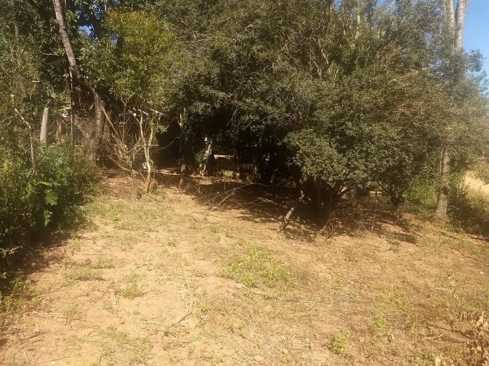 Sítio à venda com 3 quartos, 121000M2 - Foto 43