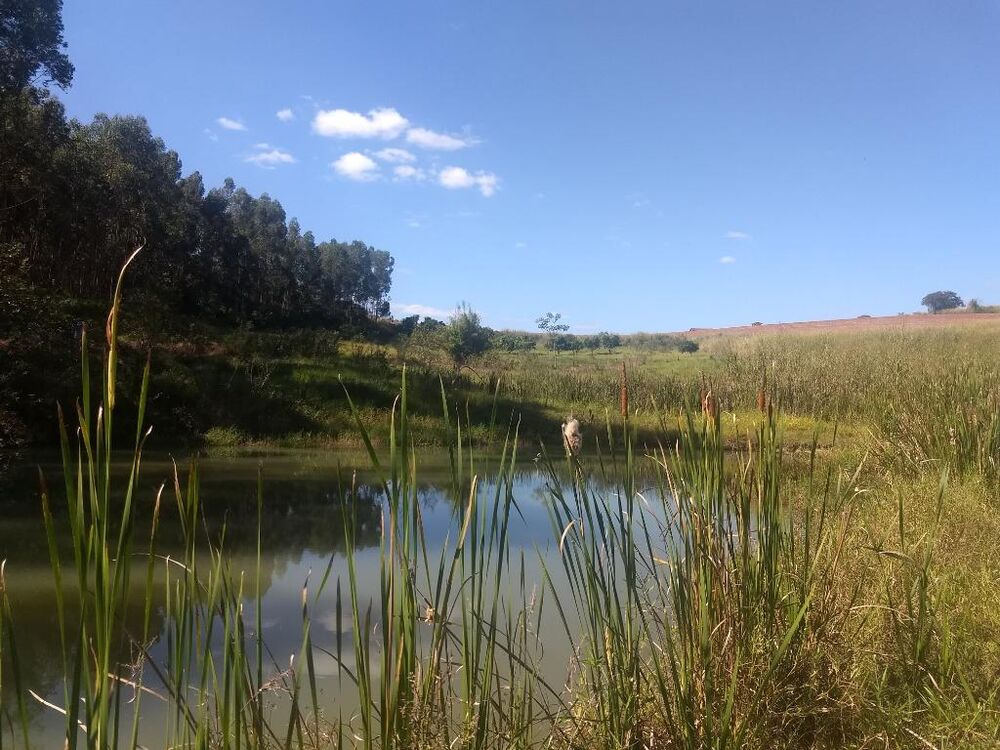 Sítio à venda com 3 quartos, 121000M2 - Foto 38