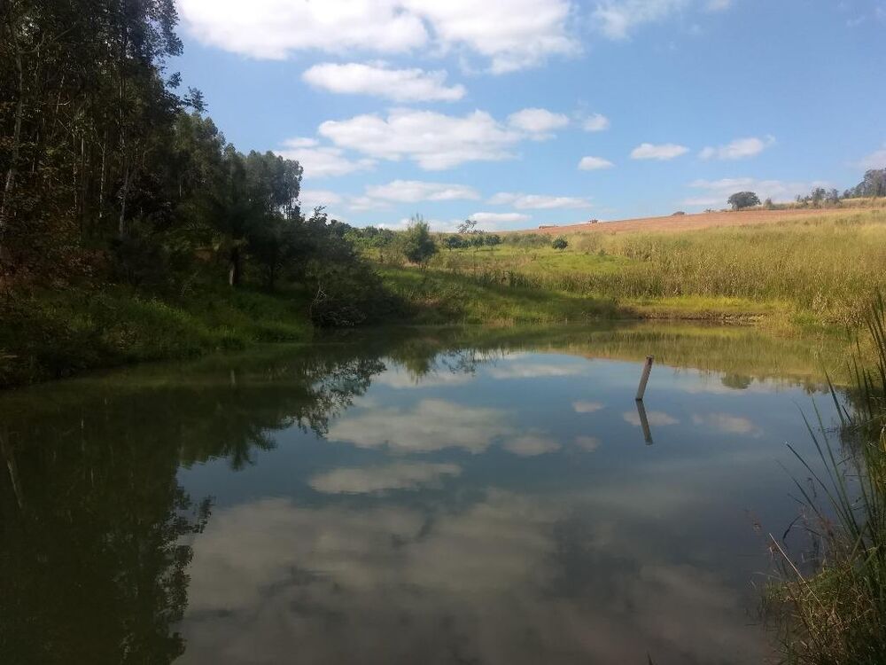 Sítio à venda com 3 quartos, 121000M2 - Foto 4