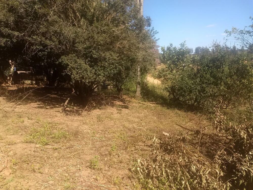 Sítio à venda com 3 quartos, 121000M2 - Foto 44