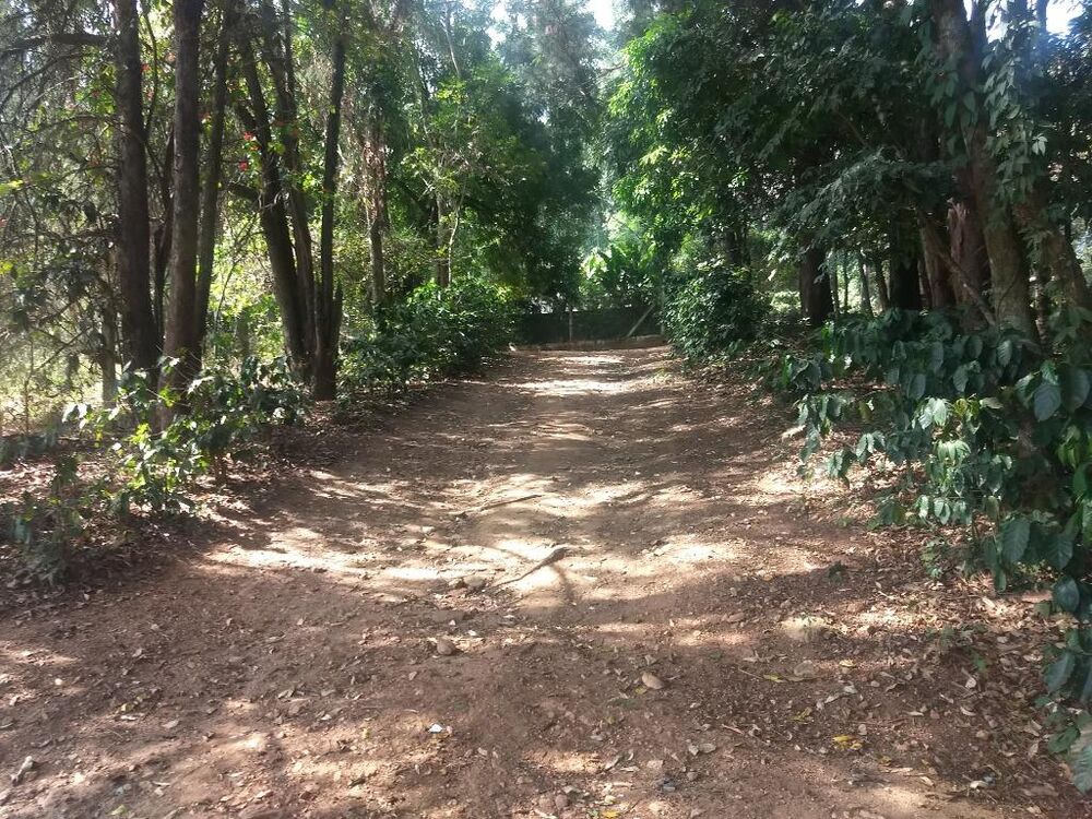 Sítio à venda com 3 quartos, 121000M2 - Foto 11