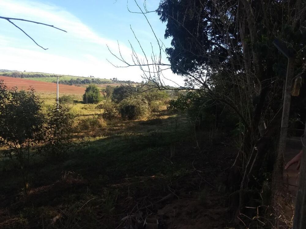 Sítio à venda com 3 quartos, 121000M2 - Foto 53