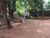 Sítio, 3 quartos, 12 hectares - Foto 33