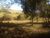 Sítio, 3 quartos, 12 hectares - Foto 47