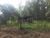 Sítio, 3 quartos, 12 hectares - Foto 32